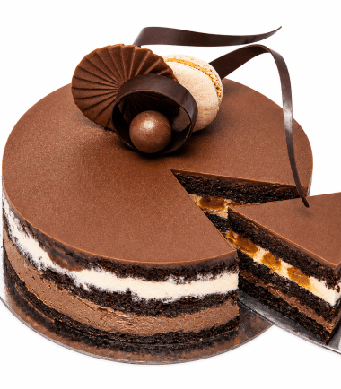 Tort Mon Amis